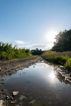 Puddle on dirt road in middle of meadows and fields rural landscape Фото