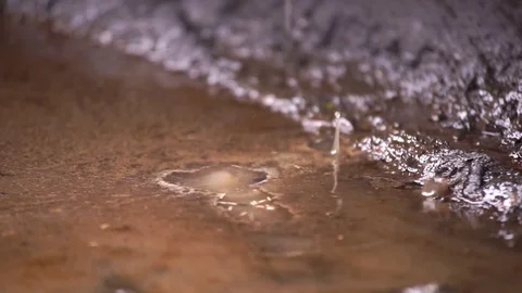 Puddle of dirty drops Stock Footage 78511729