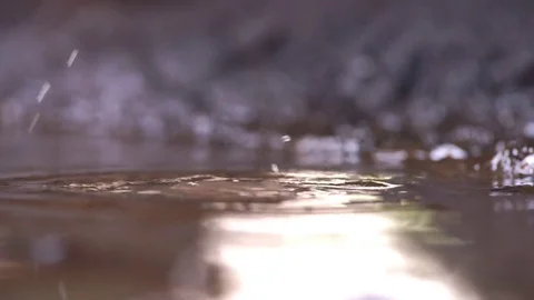 Puddle of dirty drops Stock Footage 78516941