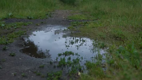 Puddle in field among green grass and small drops of rain Stock-Footage 158123779