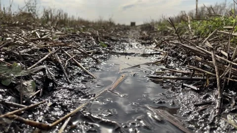 Puddle in the field close-up. Stock Footage 220958396