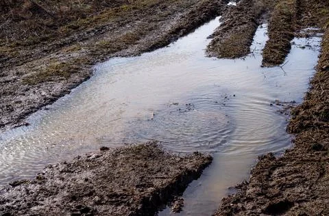 Puddle in a field in spring Stock Photos