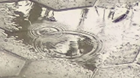 Puddle Stock-Footage 7130621