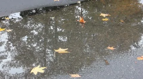 Puddle Stock Footage 12471004