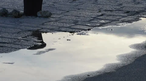 Puddle 스톡 동영상 24702884