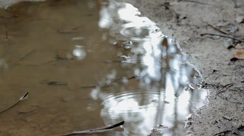 Puddle Video stock 37638254