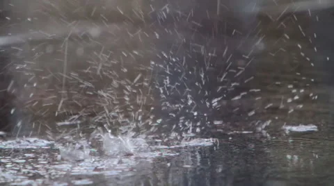 Puddle Stock Footage 46805816