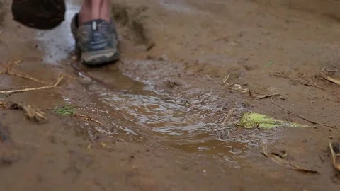 Puddle Video stock 218147285