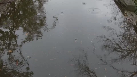 Puddle on the Footpath - Fog - Light Rain - Moody atmosphere Stock Footage 194524256
