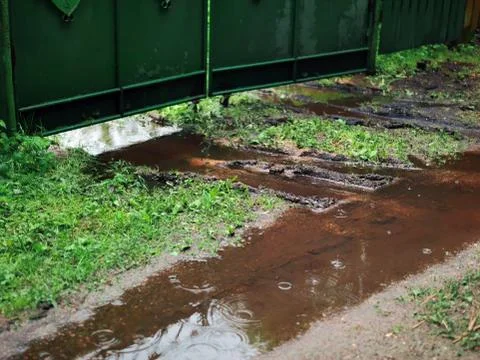 Puddle in front of the metal gate 库存照片