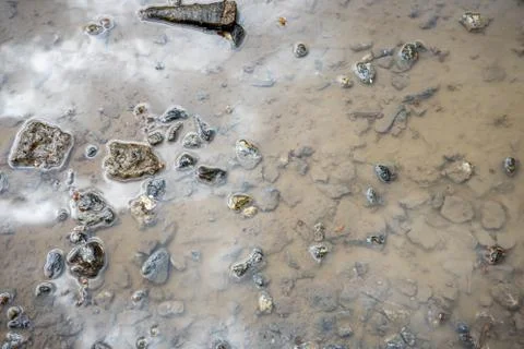 Puddle with granite rubble at the bottom Stock Photos