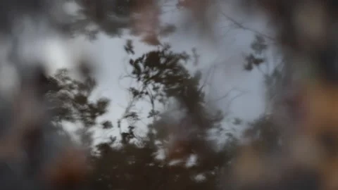 A puddle an its reflections in winter on a windy day Stock Footage 256648347