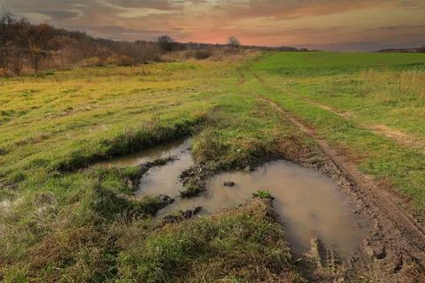 Puddle on meadow Stock Photos