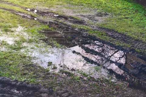 A puddle on a meadow with tire marks Stock Photos