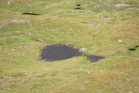 Puddle in the middle of an alpine pasture Stock Photos