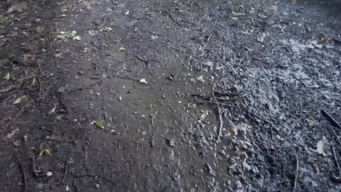 Puddle of mud. Stock Footage 108685801