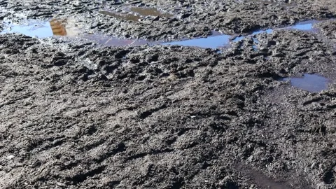A puddle of mud is situated next to a fire hydrant, suitable for various ou.. Stock Footage 332226182