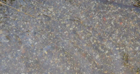 Puddle in nature Stock Footage 144420503