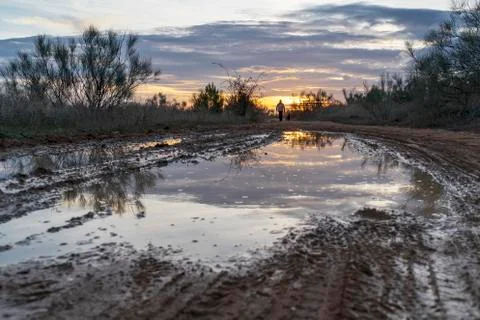 Puddle on a path in the field in which the sunset is reflected. Stock Photos