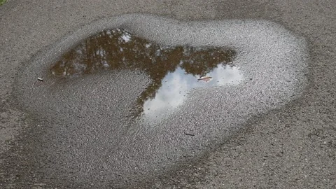 Puddle in the path in a forest 스톡 동영상 141765219