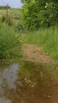 A puddle on a path through the hills Stock Photos