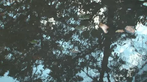 Puddle on the pavement Vídeo Stock 8945915