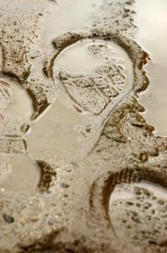 Puddle Stock Photos