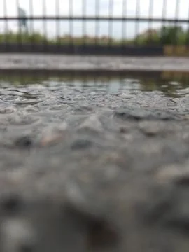 Puddle Stock Photos