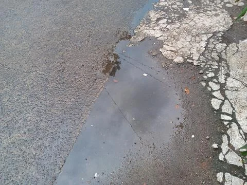 The puddle Stock Photos