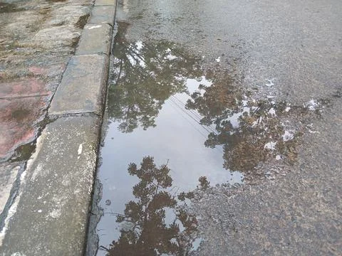 The puddle Stock Photos