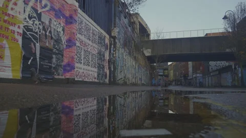 Puddle pigeon train Stock Footage 145561807