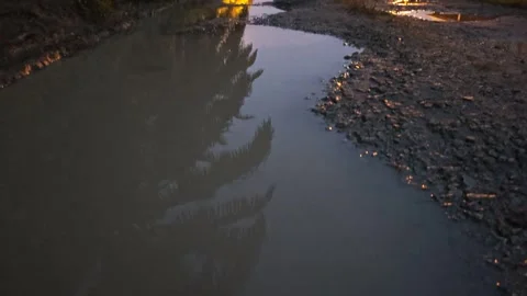 Puddle potholes Stock Footage 325631631