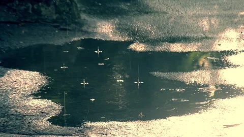 Puddle Puddle on asphalt Drops of rain water dripping into puddle on asphalt Stock Footage 277904814