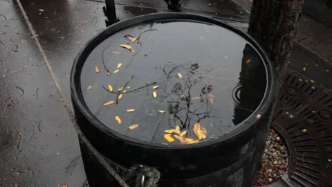 Puddle of rain on barrel 스톡 동영상 163067165