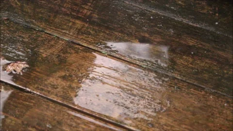 Puddle with Rain Falling into it Stock Footage 202599146