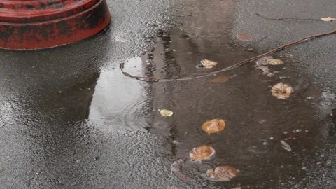 A Puddle in the Rain Stock Footage 93493006