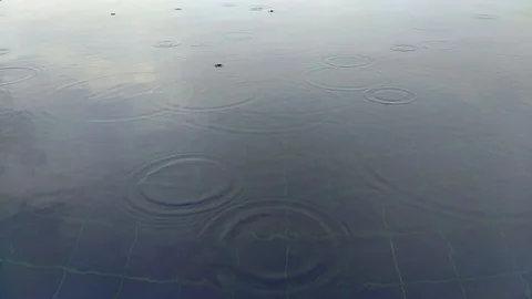 Puddle Rain Video stock 98273498