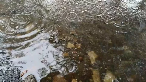 Puddle Rain Video stock 98274285