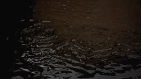 Puddle of rain Stock Footage 208657469