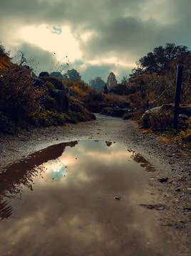 Puddle reflecting clouds on a dirt path in a nature setting during overcast.. Stock Photos