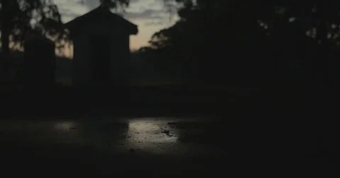 Puddle reflecting tree and outhouse at sunrise Stock Footage 76404308