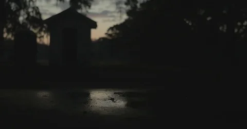 Puddle reflecting tree and outhouse at sunrise Stock Footage 76404381