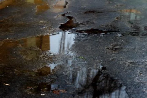 Puddle Reflection on the Asphalt 03 Stock Photos