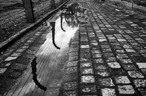 Puddle reflection of barbed wire fence in Auschwitz camp Stock Photos