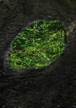 Puddle reflection Stock Photos