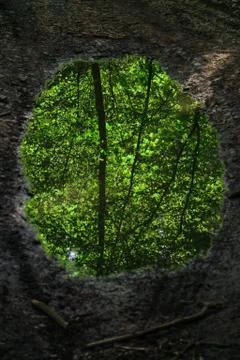 Puddle reflection Stock Photos