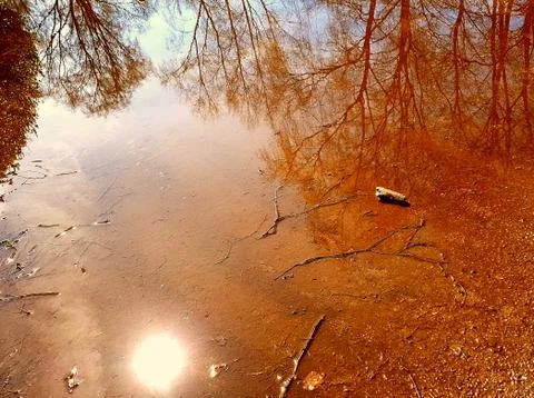 Puddle Reflection Stock Photos