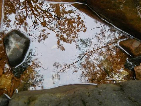 Puddle reflection Stock Photos