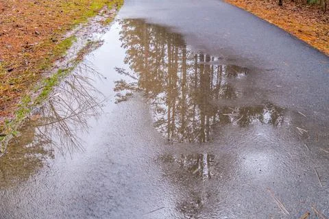 Puddle reflection on the trail Stock Photos
