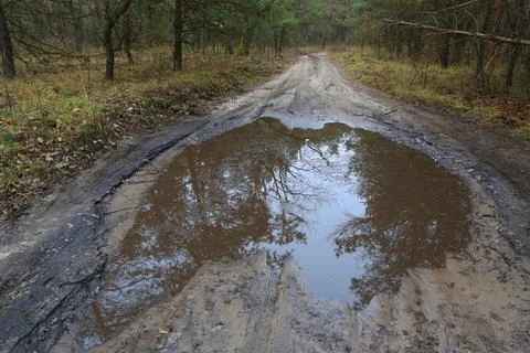 Puddle on road in forest Stock-Fotos